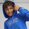 Puma Active Sports Fz Tr Sweatshirt 67629147 R 116
