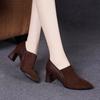 Туфли 2024 Женские Боковая молния Женские Туфли на высоком каблуке Горячая распродажа Офис и карьера Туфли-лодочки Женские Острый носок Массивный каблук Туфли Женские