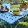 Aridi Outdoor Folding Picnic Table and Chair Set