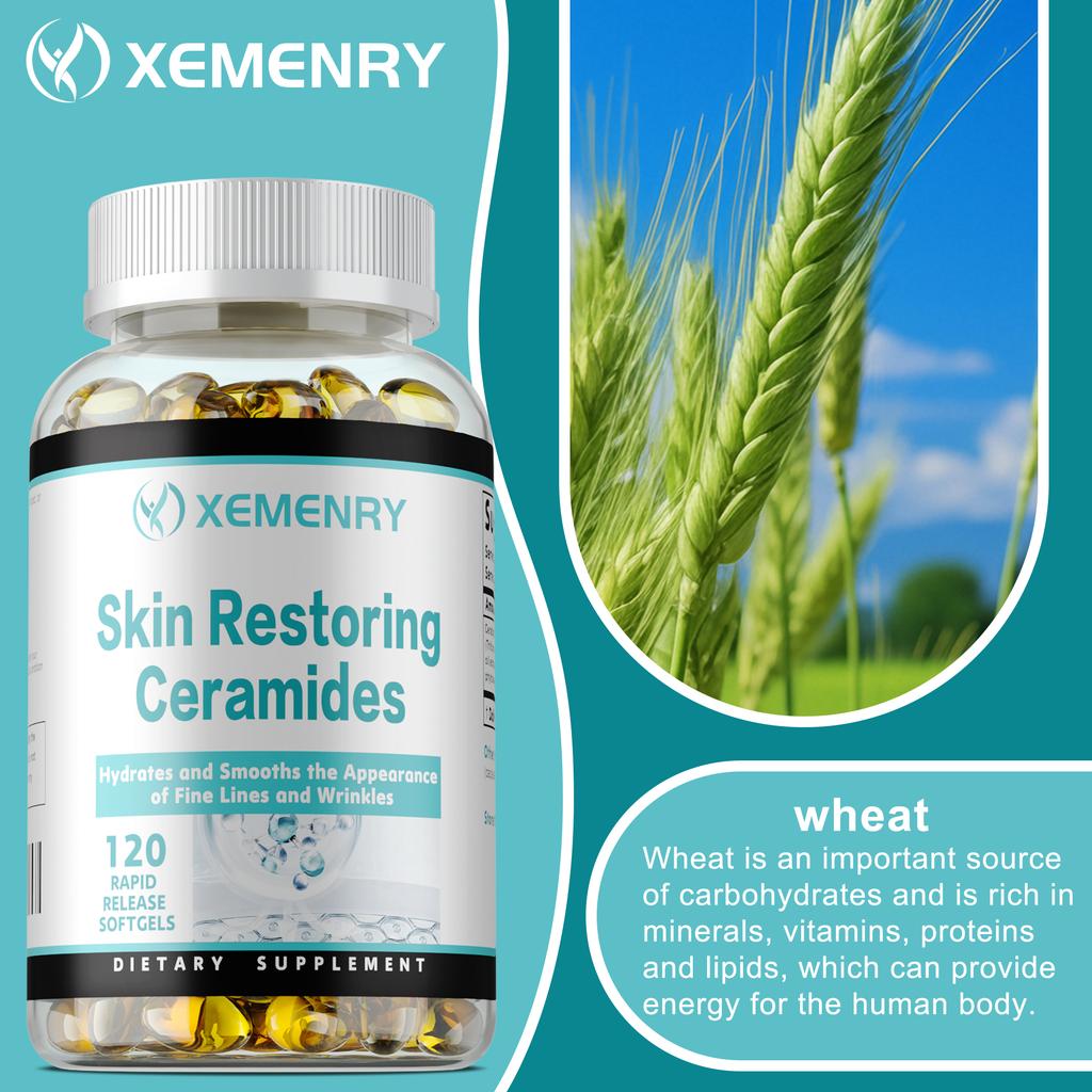 Ceramides (Ceratiq Wheat Oil Extract) 350mg 120 Capsules — Skin Support, Daily Wellness, Nutritional Support