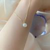 Pearl Pendant Temperament Korean Style Necklace Pearl Necklace Clavicle Choker Fashion Necklace