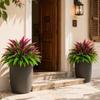 UV Resistant Artificial Dracaena Boston Fern Simulation Banana Plant  Patio Balcony Porch