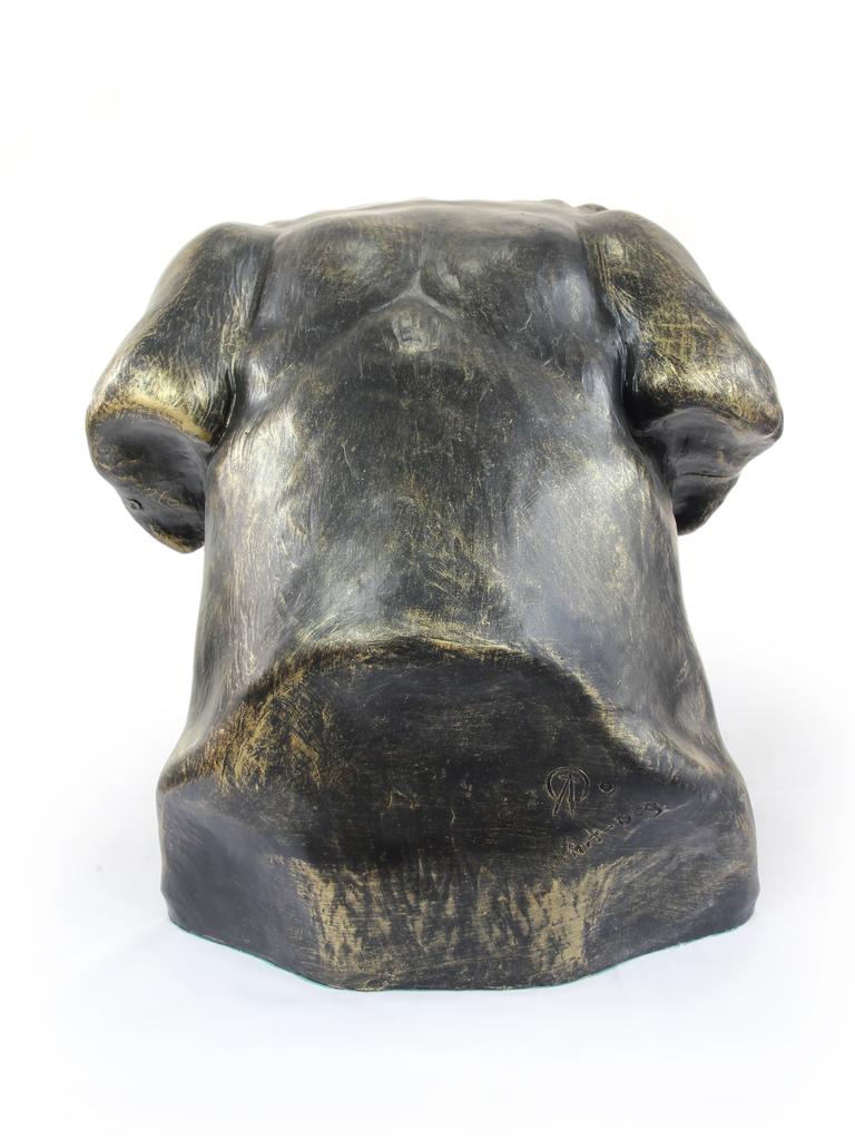 English Mastiff - Dog Bust, Large Dog Head for the Garden, Unique Living Room Decoration by Art-Dog Brand