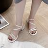 Exquisite and Beautiful Fairy Style High-end Thick-heeled Sandals Female 2025 New Fashion Versatile Skirt Women's Sandals