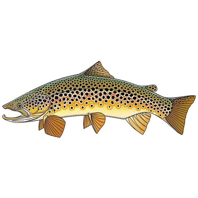 J519 # наклейка с дикой коричневой форелью на автомобиль, виниловая наклейка, водонепроницаемые декоративные наклейки для автомобиля