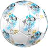 Lionel Messi Size 5 Soccer Ball, Machine-Stitched PVC, Durable & High Bounce, All Ages Fit, fan merchandise, matches & outdoor use.
