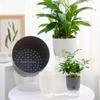 Self-absorbing Water Self Watering Hydroponic Vases Breathable Lazy Flower Pot Home