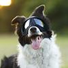 Dog Goggles Large Breed Dog Sunglasses Windproof Snowproof Pet Goggles Soft Frame Elastic Adjustable Straps