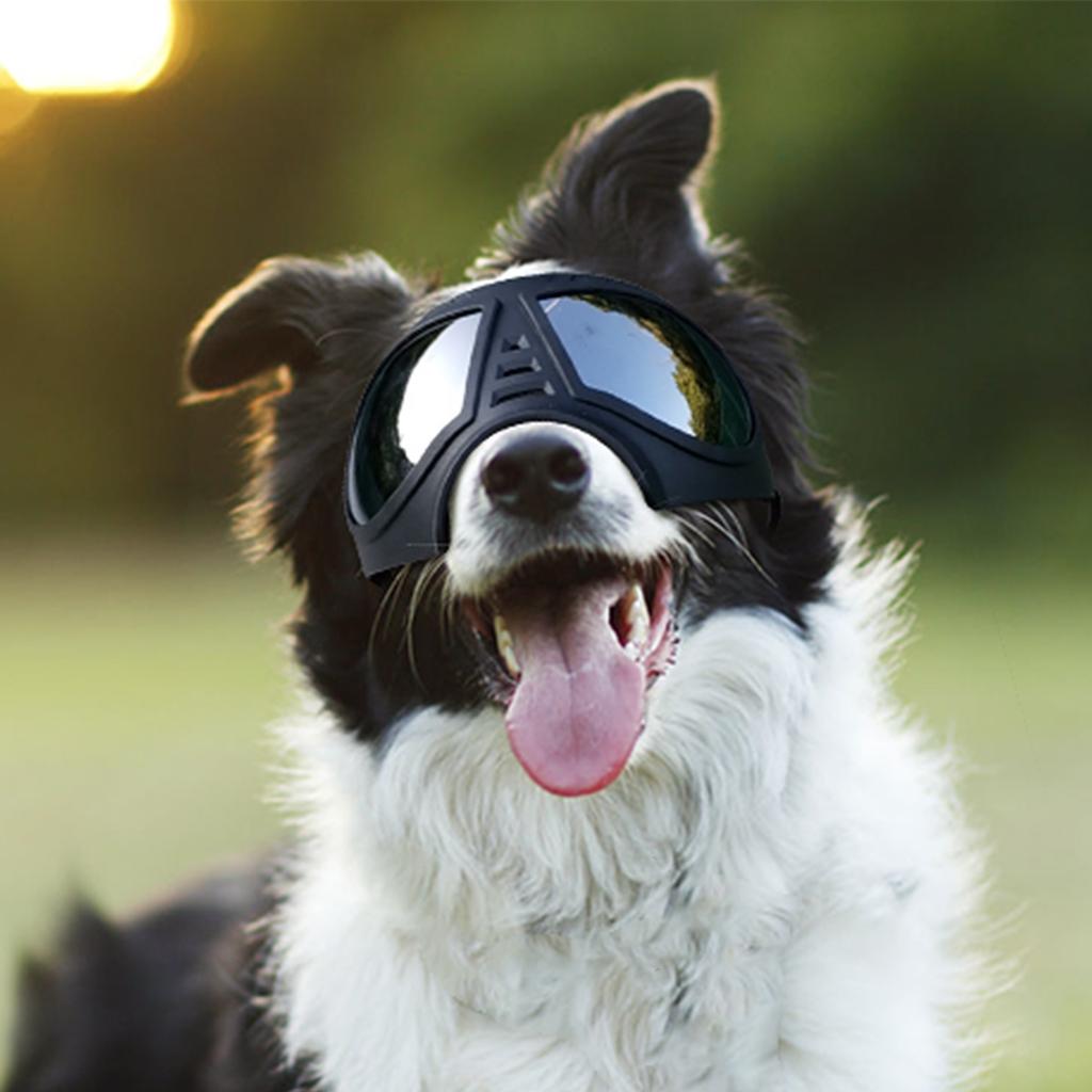 Dog Goggles Large Breed Dog Sunglasses Windproof Snowproof Pet Goggles Soft Frame Elastic Adjustable Straps