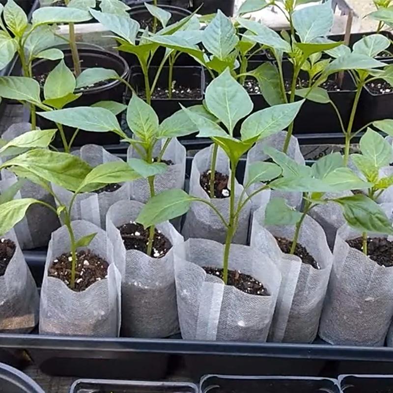 100Pcs Nursery Growing Bags Non-Woven Fabric Seedling Pots For Planting Seed Starting Pots Pouches For Vegetable Flower Fruit