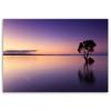 Canvas print, Tree on a lake nature