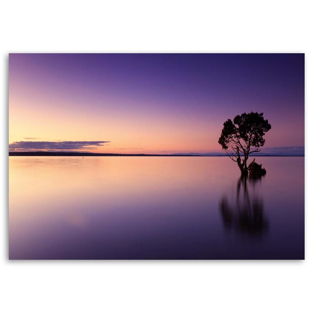 Canvas print, Tree on a lake nature