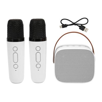 Караоке-машина, многофункциональная портативная стереосистема Bluetooth с 2 беспроводными микрофонами