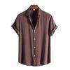 2024 Men's Summer Casual Hawaiian Short-Sleeve Solid Shirt