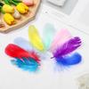 Wedding Ornaments Natural Color Colorful Feather Costume Decoration Home Decoration Goose Feathers