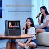 Портативная система караоке KTV SANSUI W200, штепсель CN (адаптер в комплекте)