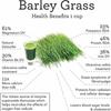Organic Barley Powder 100% Pure and Natural, No Additives and Preservatives Pure, Kosher, Vegan, Bulk. Good Source of Fiber, Protein