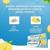 Herbal Whitening Natural Toothpaste + FREE Toothbrush - Salt and Lemon Dabur HERB'l