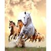 5D Diy Алмазная картина Ручная работа Животное Лошадь Вышивка крестиком Алмазная вышивка Украшение дома
