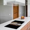2x GLASS PROTECTIVE PLATE FOR STOVE 40x52 CAT