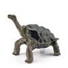 Realistic Turtle Action Figures Simulation Tortoise Animals Figurines Sea Turtle Model  Collection