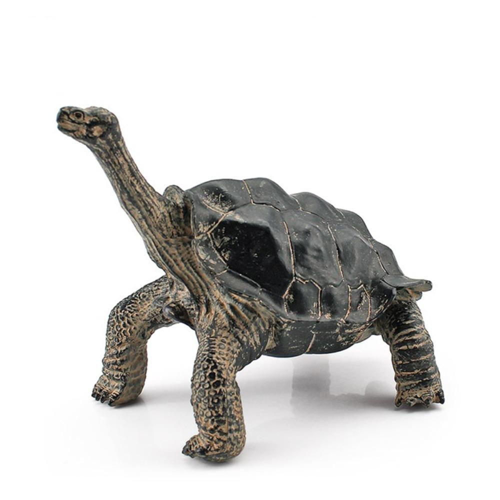 Realistic Turtle Action Figures Simulation Tortoise Animals Figurines Sea Turtle Model Collection