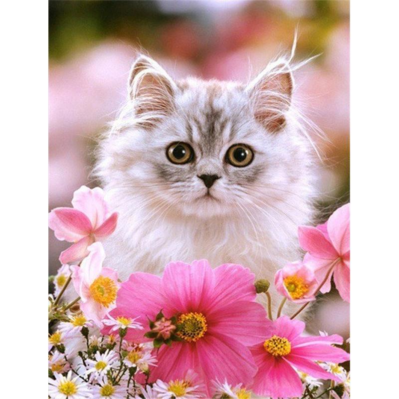 5D DIY алмазная живопись милые животные кошка вышивка крестиком полная дрель круглая/квадратная вышивка мозаика художественная картина из страз домашний декор