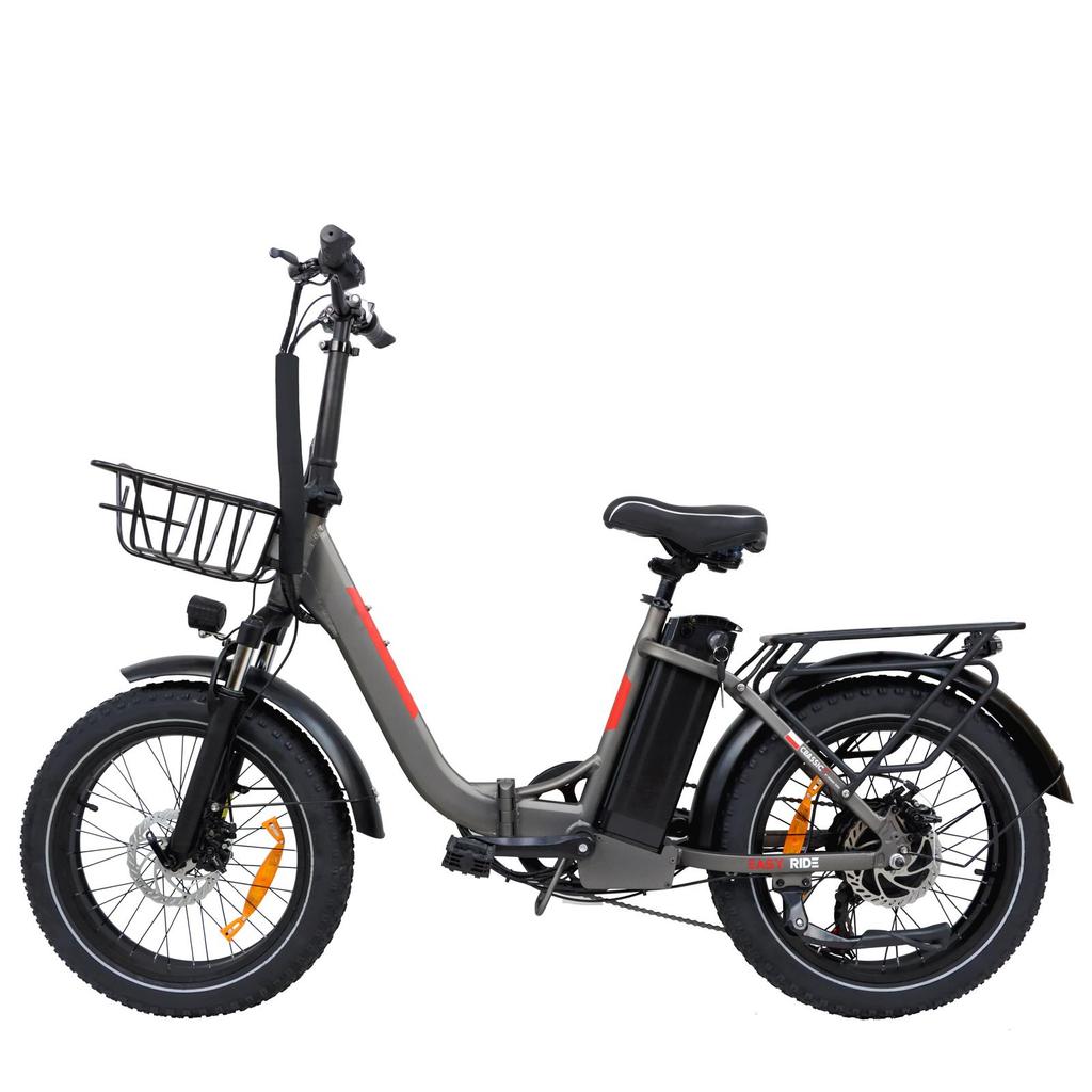 DZ2030 E-Bike 800W Motor 48V16AH Removable Battery Food Delivery Electric Bicycle 20*4.0 Fat Tire Adult Delivery Electric Bike