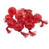 2025 New Year Red Lantern LED Curtain String Lights - Home Atmosphere Decoration with Fu Character