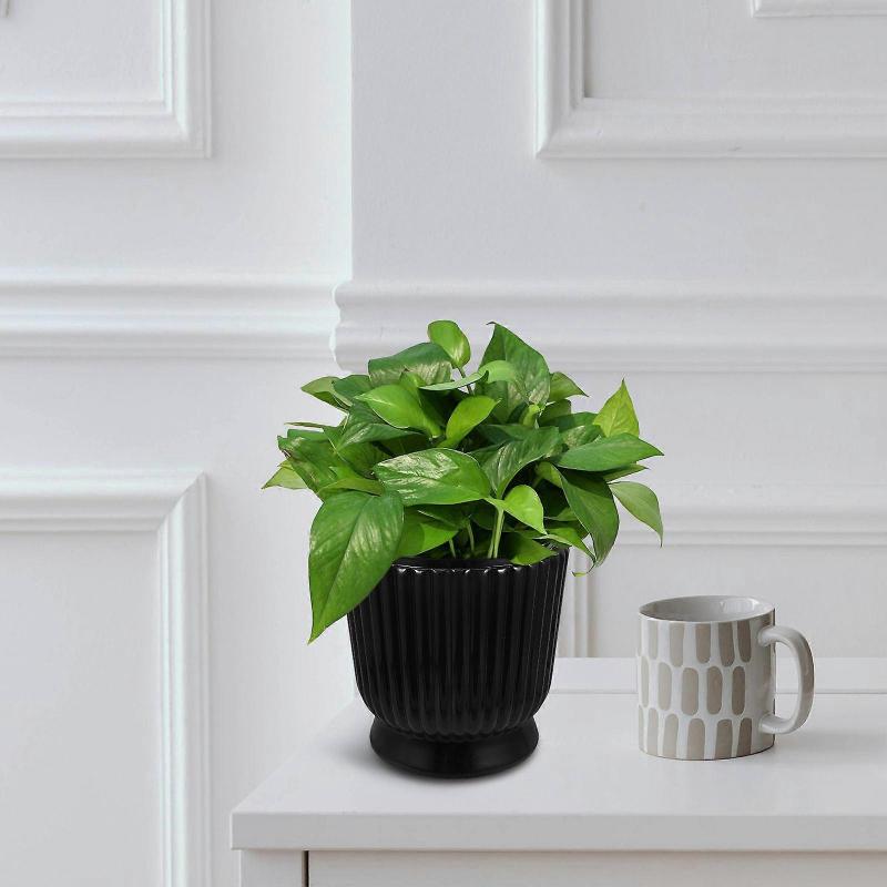 Watering Hydroponic Flower Pot with Self-Watering Design for Office Bonsai Succulents
