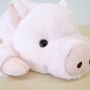 Sun Arrow Cushy Pig Plush