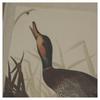 Hill Interiors Flora & Fauna Collection Duck Linen Framed Art Print