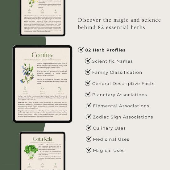 Справочник по травам 82 лекарственных растения Медицинское руководство по траволечению Растительные средства и рецепты Диспансер