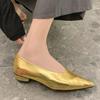 Fashion Ladies Shoes 2024 Fashion Slip On Women's Pumps Autumn Pointed Toe Shallow Solid Dress Low-heeled Office Ladies Shoes Zapatos