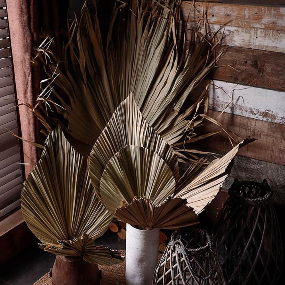 Wedding Decor Decoration Boho Bohemian Trimmed Natural Fan Leaf Palm Spears Leaves Dried Plant