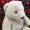 [USED] White Teddy Bear - Polar Bear Plush Toy by MON SEUIL