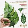 [A&K] Arajin Pine (Small) - A God of the Hearth, Unyielding Even in the Heat, Extremely Energy-Saving Type Arajin Pine S (Made with Camellia Leaves