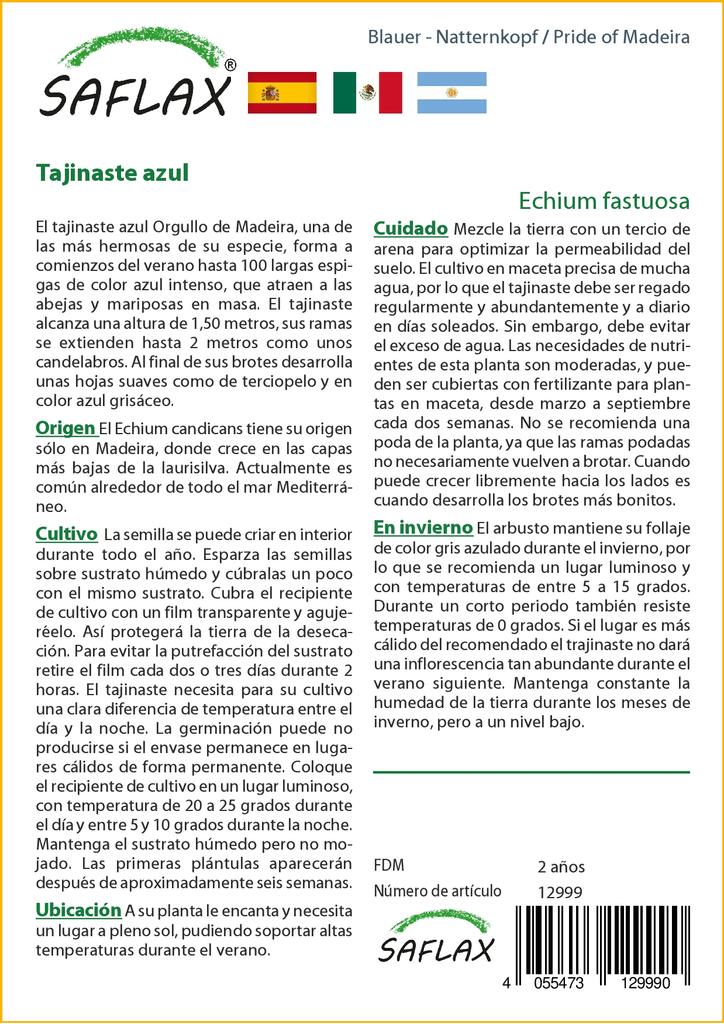 SAFLAX Гордость Мадейры - 100 семян - Echium fastuosa