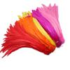50pcs/lot Rooster Tail Feathers for Crafts 25-40cm/10-16inch Carnival Home for Dancers Diy Plume