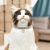 Pet Collar Craftsmanship Shiny Fit Adjustable Fashion Unique Pet Jewelry Selection Pearl Necklace For Cats Household Products