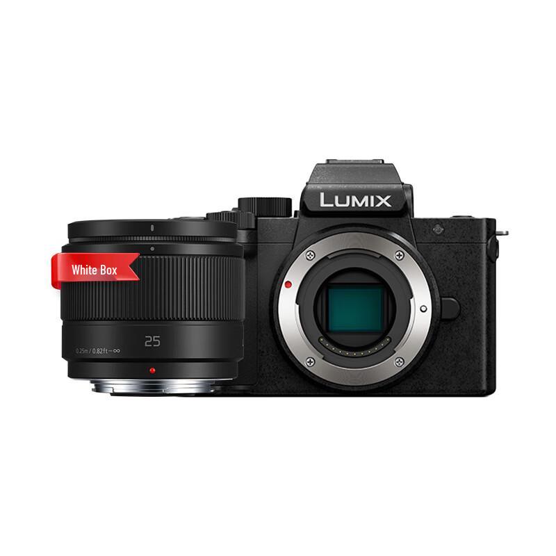 Panasonic Lumix G100D Mirrorless Vlogging Camera (CN version)