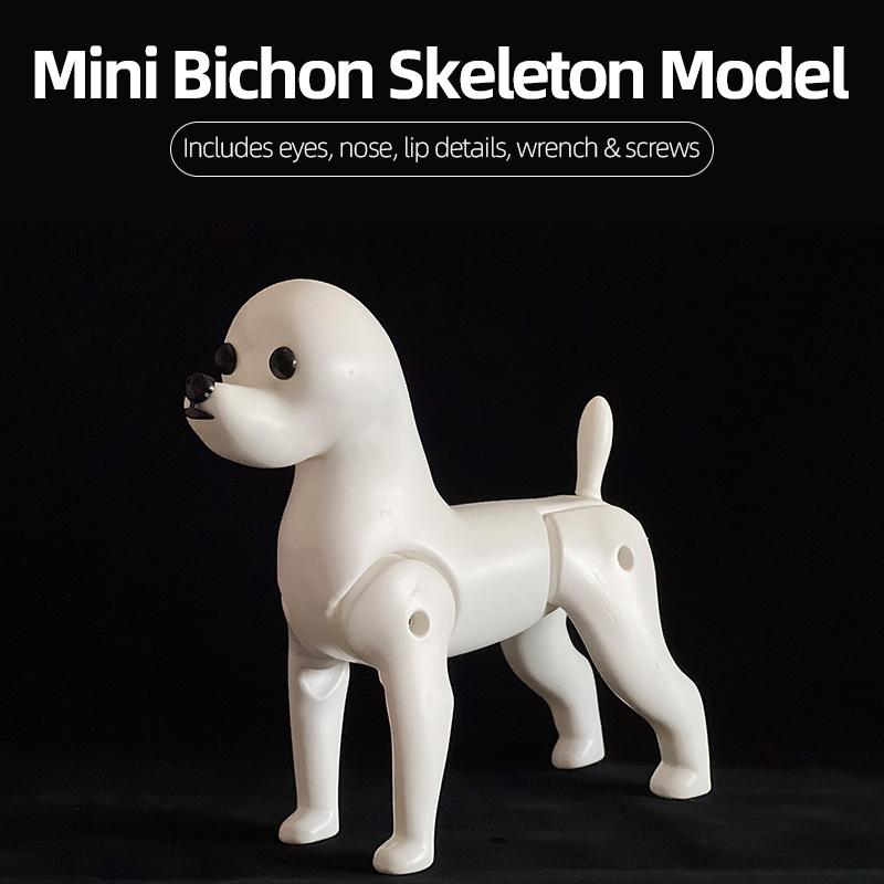 Pet Dog Model Hair Beautician Practice Trimming Standard Poodle/Teddy/Bichon Full Body 1:1 Simulation Skeleton 3