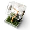 Spider Reptile Insect Feeding Box Reptile Breeding Box Terrarium Accessories Insect Box For Spider Cricket Snail Tarantula