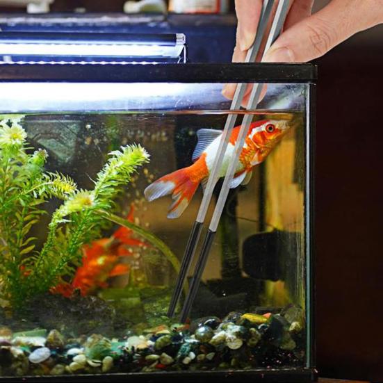 2 шт. Щипцы для кормления рептилий из нержавеющей стали с резиновым наконечником, длинные прямые и изогнутые пинцеты, аксессуары для аквариума с бородатыми агамами и змеями, принадлежности для террариума