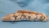 Взлет Polypterus endrikerii
