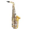 Btuty Alto Saxophone Saxophone Polished Brass Engraved Natural White Shell Button Wind Instrument with Case Mute Glove Cleaning Cloth Belt Brush