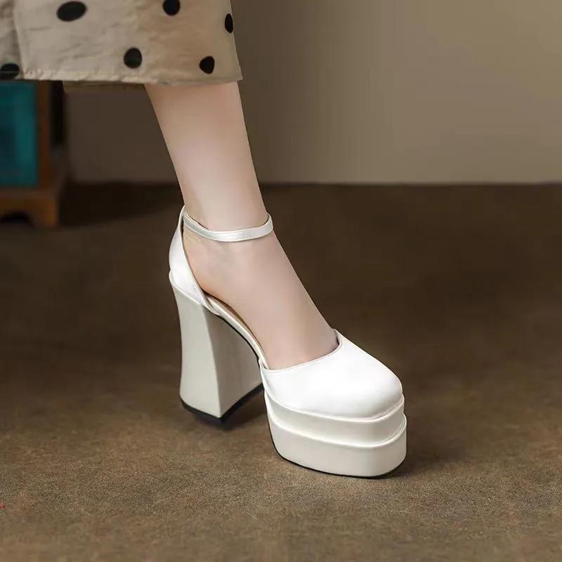 Fashion Mary Jane Shoes Women 2024 New Spring Autumn Thick Heels High Heels Waterproof Platform Hollow Luxury Brand Women's Shoes Pumps
