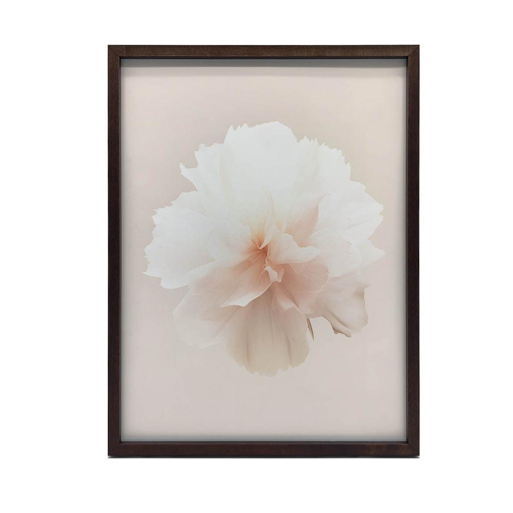 Pastelowy Kwiat W Detalu Pastelowy Kwiat W Detalu, 70X100 Cm, Rama Drewniana Jasny Dąb, Papier Matowy 230 Gsm