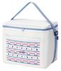 Skater Foldable Insulated Bag 25L with Shoulder Strap and Clear Miffy Design Bag, CLB25-A