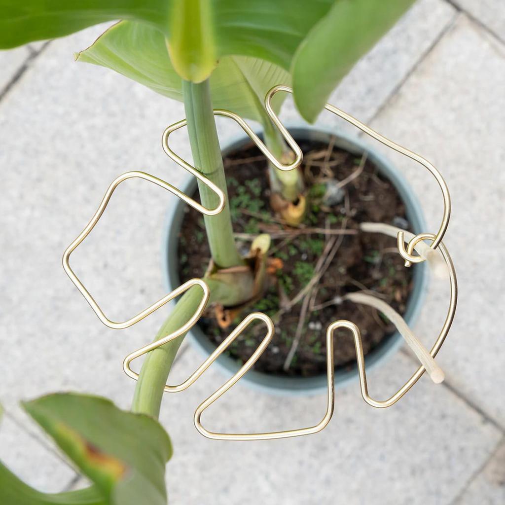 Monstera Plant Support Reusable Coated Iron Stem Holder Flower or Heart Shaped Stabilizer Climbing Plants Stem Support for Indoor Outdoor Plants